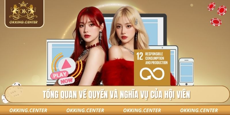 Tổng quan về quyền và nghĩa vụ của hội viên